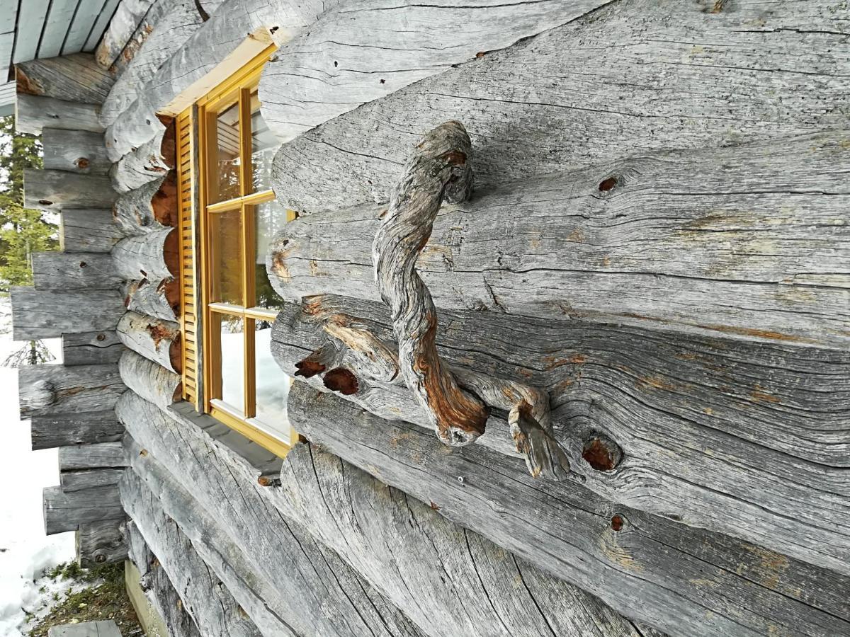 Logwood Vakantiehuis