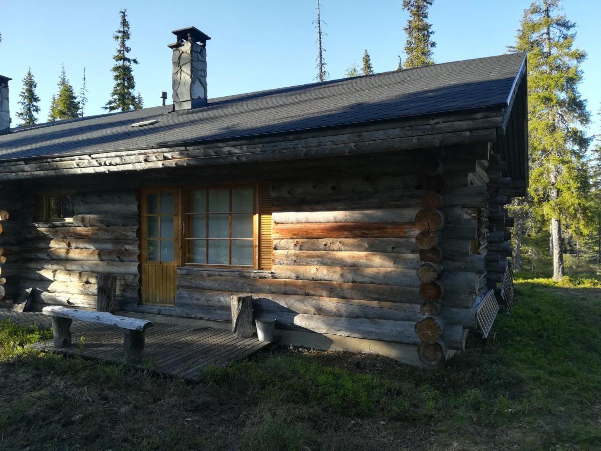 Logwood