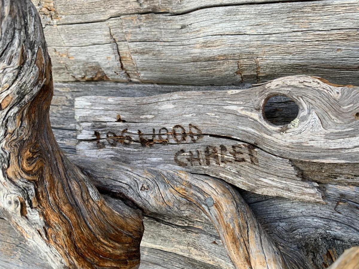 Logwood *